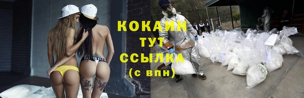 ешки Белокуриха