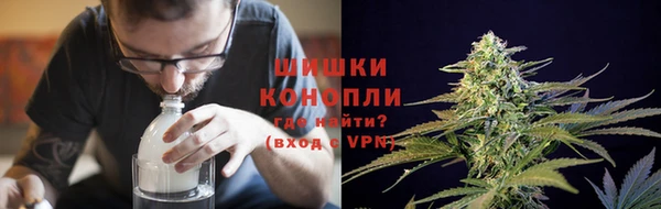 ешки Белокуриха