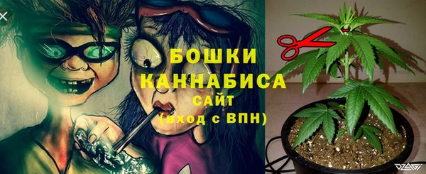 ешки Белокуриха