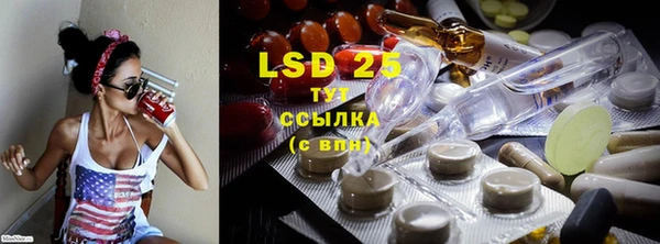 ешки Белокуриха