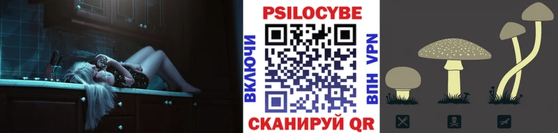 гидра рабочий сайт  Видное  Псилоцибиновые грибы прущие грибы 